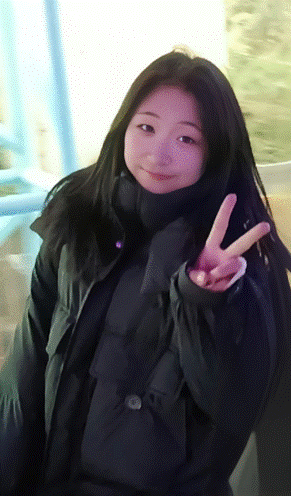 图示, 示意图

中度可信度描述已自动生成:ver1