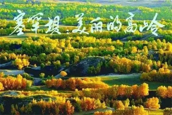 图片19.jpg